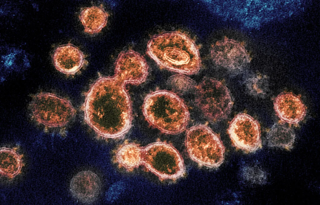 doctors-issue-warning-about-a-spreading-virus-resembling-covid-19-and-influenza