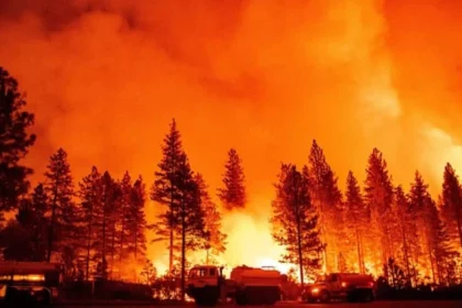 california-battles-first-wildfire-of-the-year-after-historically-wet-winter
