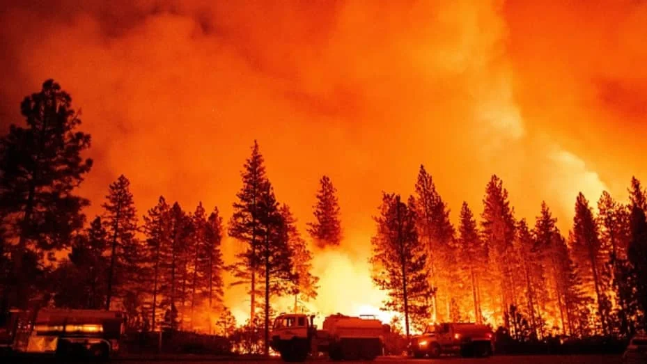 california-battles-first-wildfire-of-the-year-after-historically-wet-winter