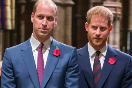 prince-harry-faces-backlash-for-revealing-prince-williams-settlement-in-court
