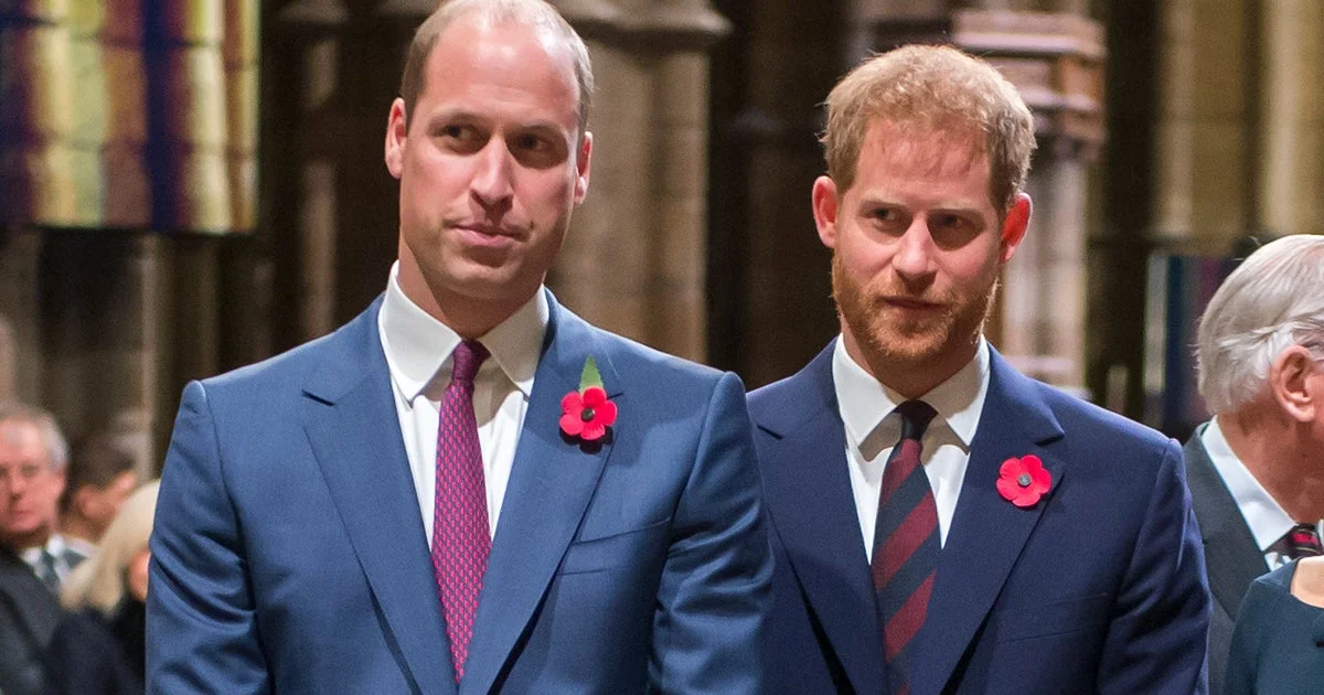 prince-harry-faces-backlash-for-revealing-prince-williams-settlement-in-court