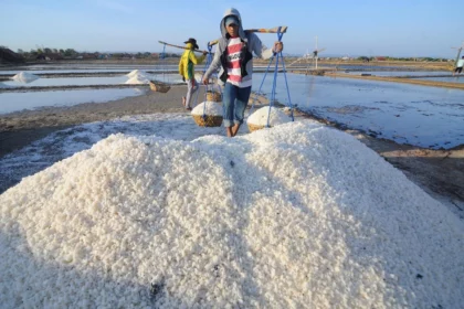 the-unfortunate-decline-of-indonesias-salt-harvesting-industry