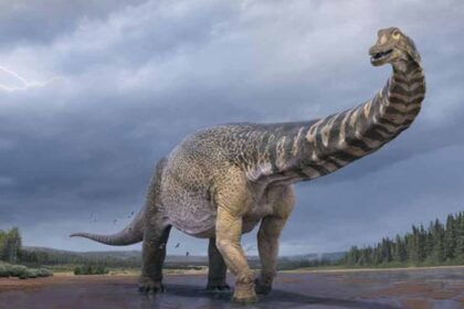 dinosaurs-may-have-suffered-from-respiratory-diseases