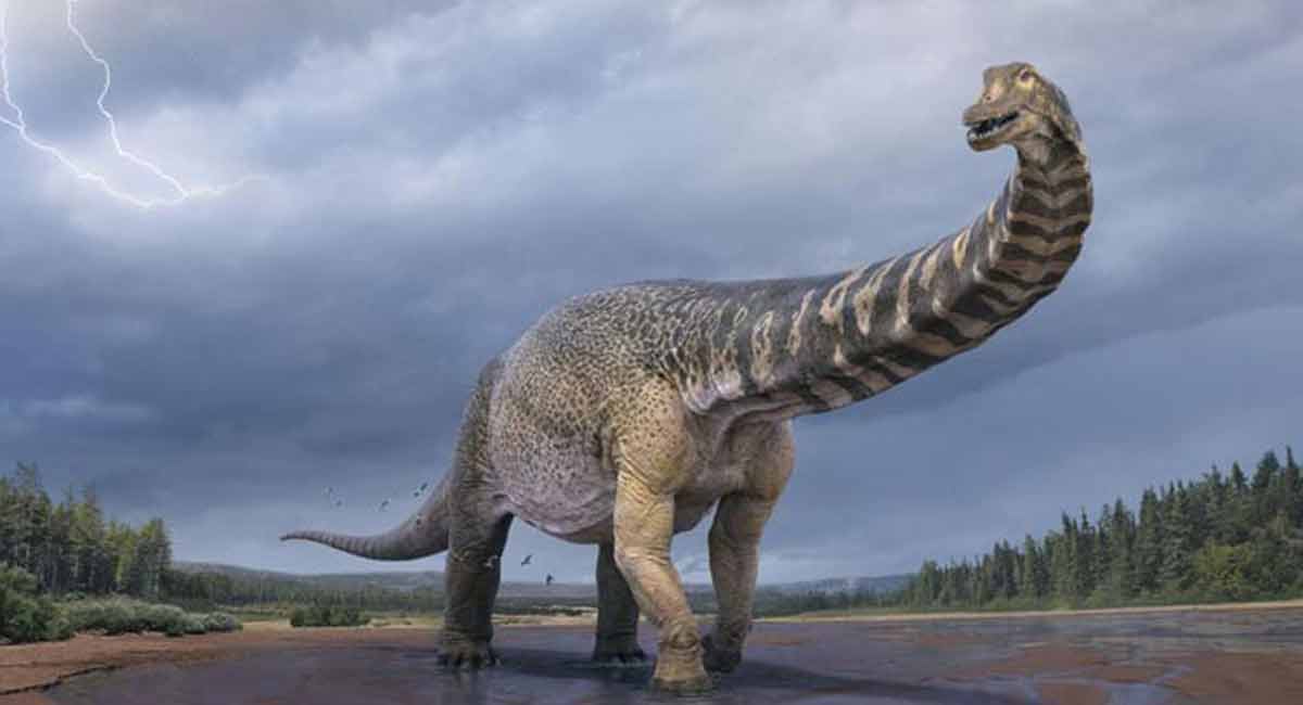 dinosaurs-may-have-suffered-from-respiratory-diseases