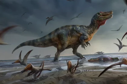 newly-discovered-dinosaur-species-sheds-light-on-ancient-meat-eaters