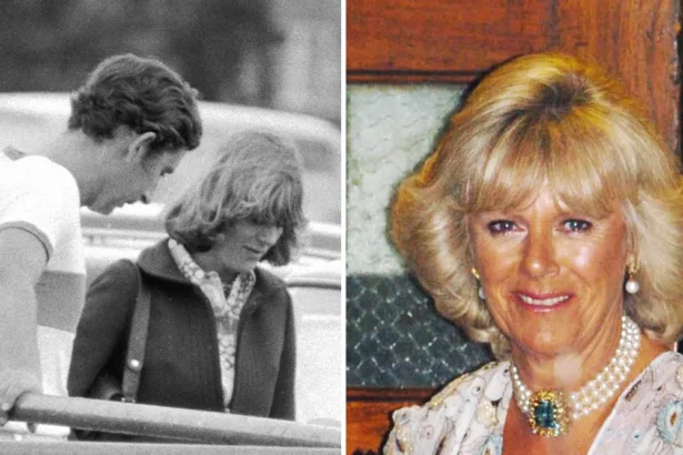 new-documentary-claims-queen-consort-camilla-used-private-jets-to-meet-king-charles-iii-in-the-90s