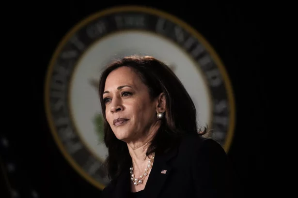 us-vice-president-harris-to-meet-with-ceo-amid-ai-risks