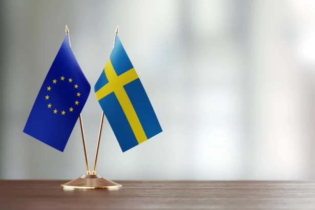 sweden-second-largest-party-calls-for-a-rethink-of-relations-with-the-european-union