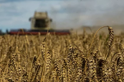 czech-farmers-squeezed-out-of-eu-grain-markets-by-ukraine-imports