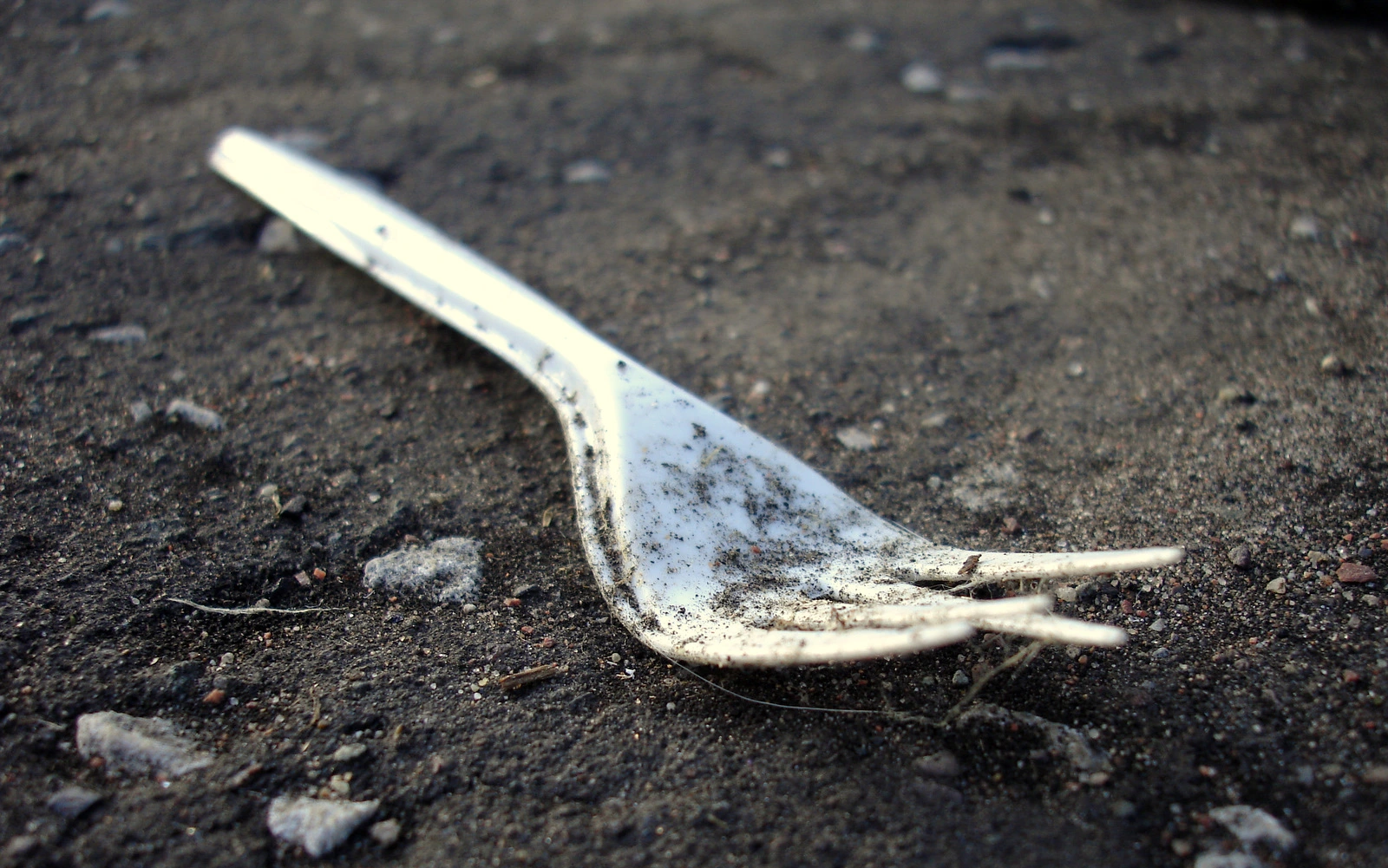 The Hidden Impact Of Plastic Utensils On The Environment Distinct Post   Disposable Fork Flickr Paul Ferguson.webp