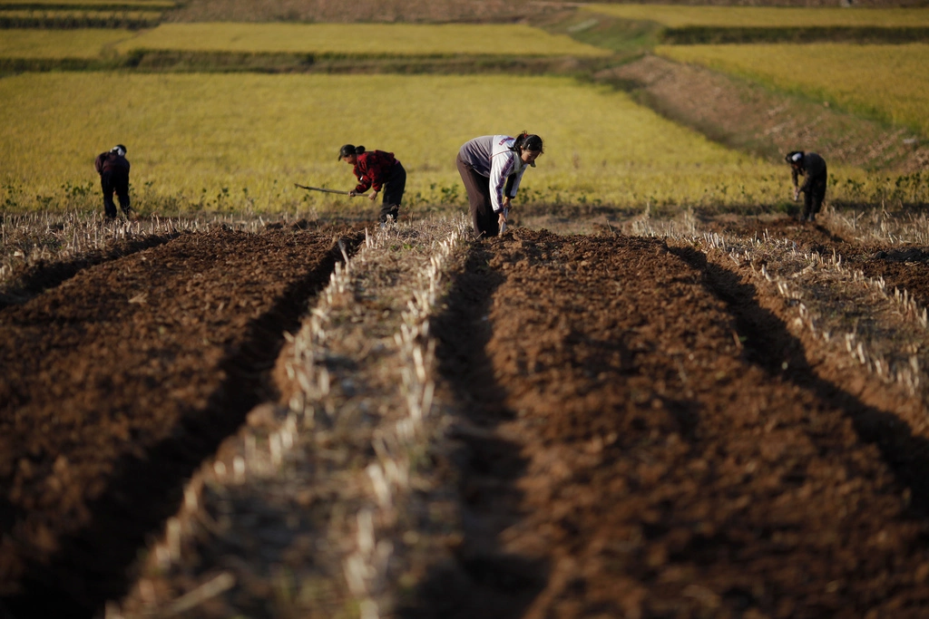 north-korea-demands-more-farmland-to-extend-food-production