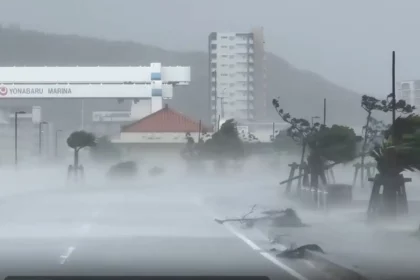 south-japan-canceled-flights-as-typhoon-khanun-and-heavy-rain-headed-to-the-country