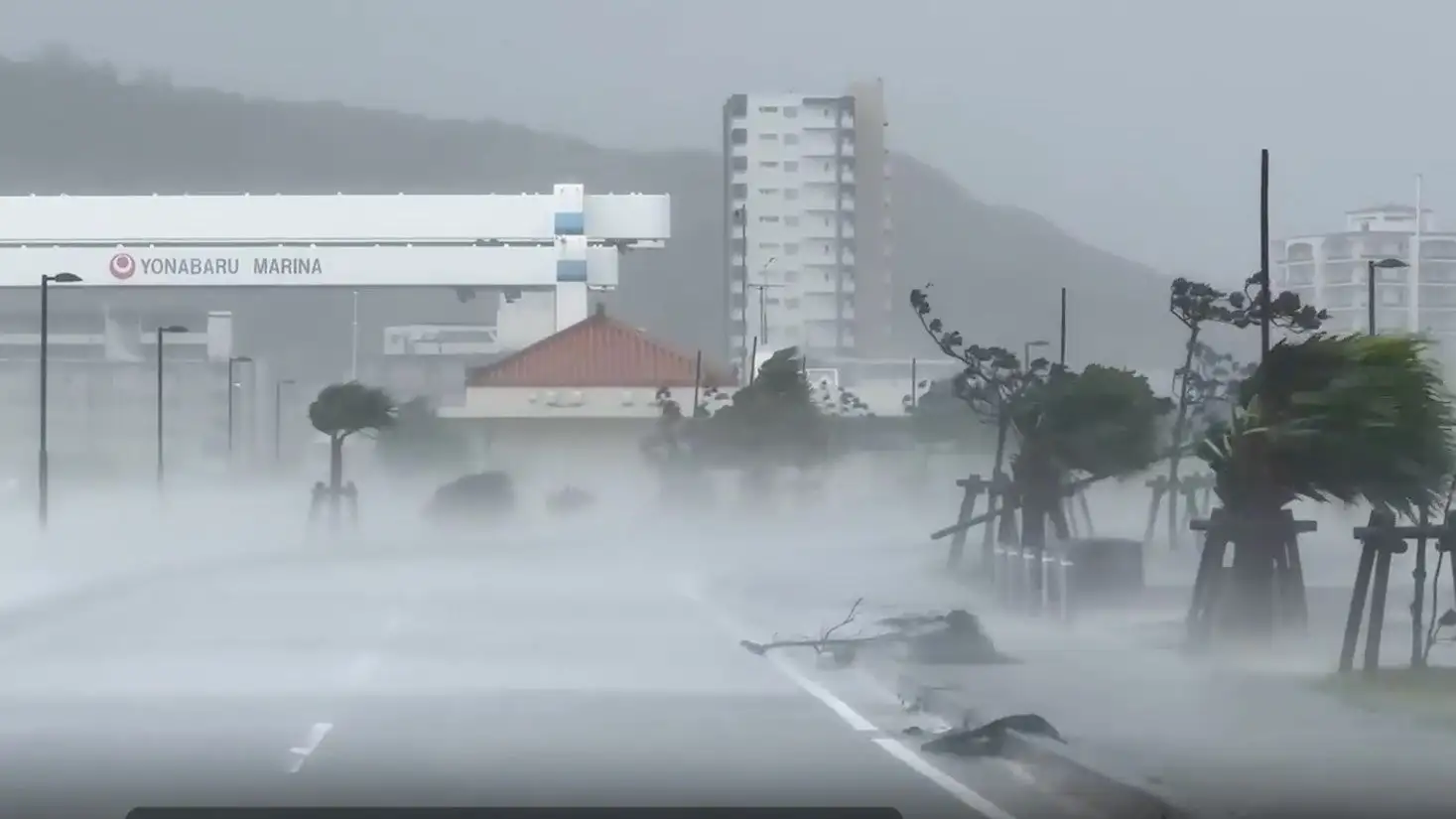 south-japan-canceled-flights-as-typhoon-khanun-and-heavy-rain-headed-to-the-country