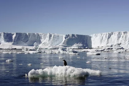 antarctica-recorded-worlds-most-intense-heatwave-ever-in-2022-reports