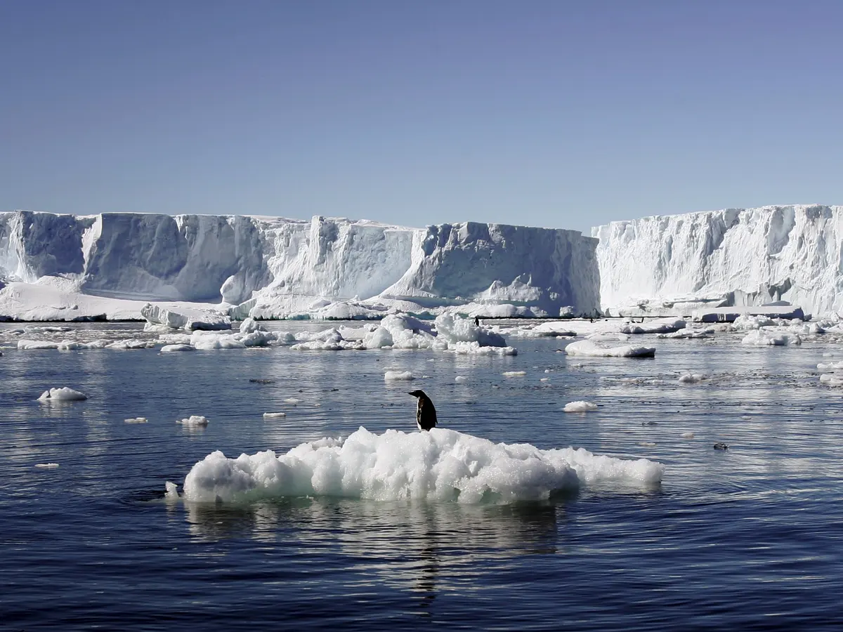 antarctica-recorded-worlds-most-intense-heatwave-ever-in-2022-reports