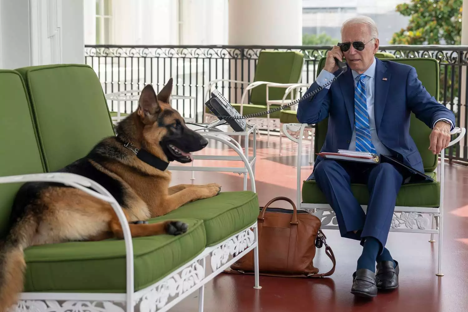 bidens-dog-commander-removed-from-the-white-house-after-biting-several-staff-members