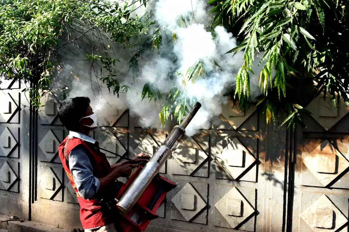 thousands-of-people-died-following-bangladeshs-worst-dengue-outbreak