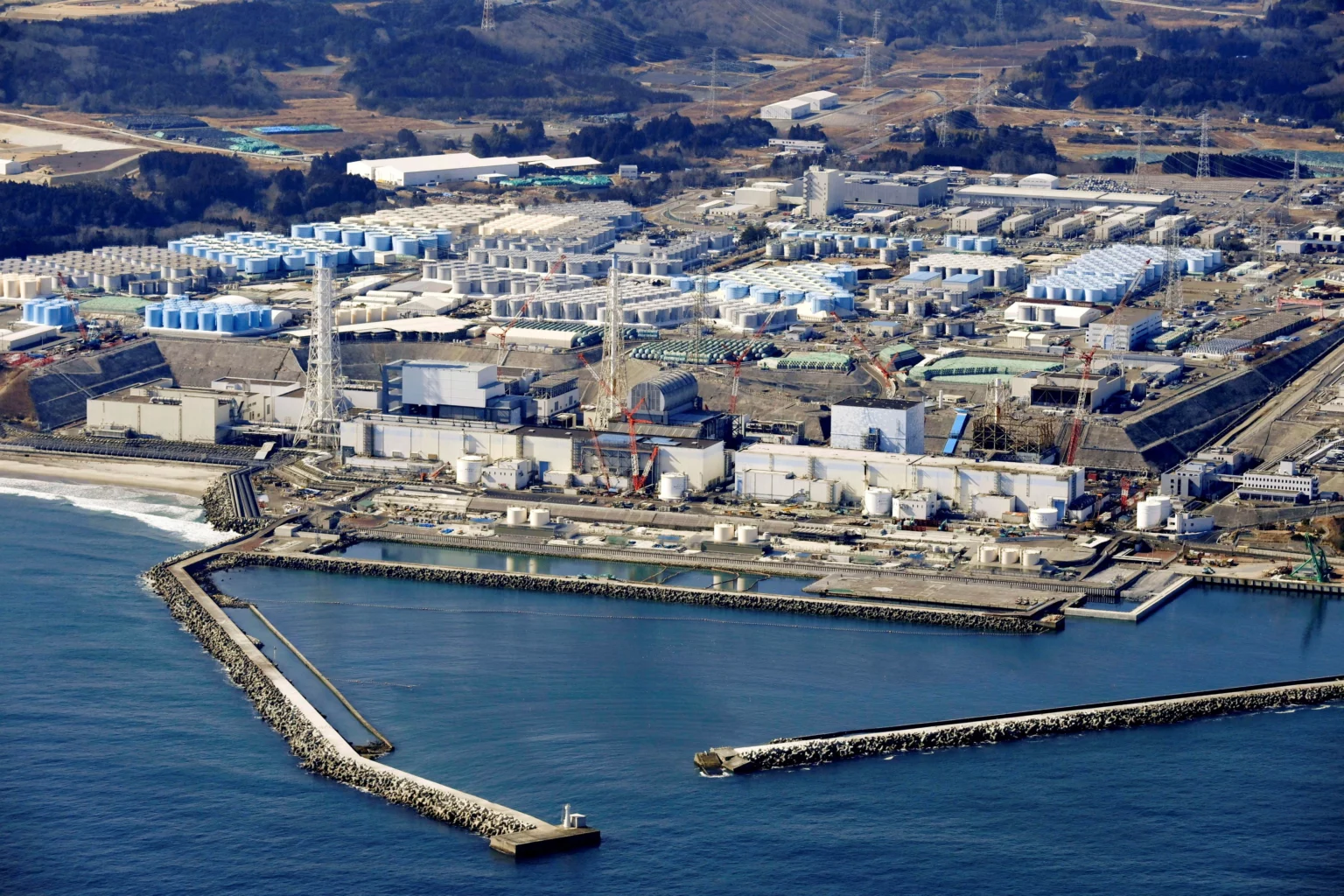 un-inspectors-test-fukushima-fish-to-corroborate-safety-claims-of-japan-following-the-release-of-wastewater