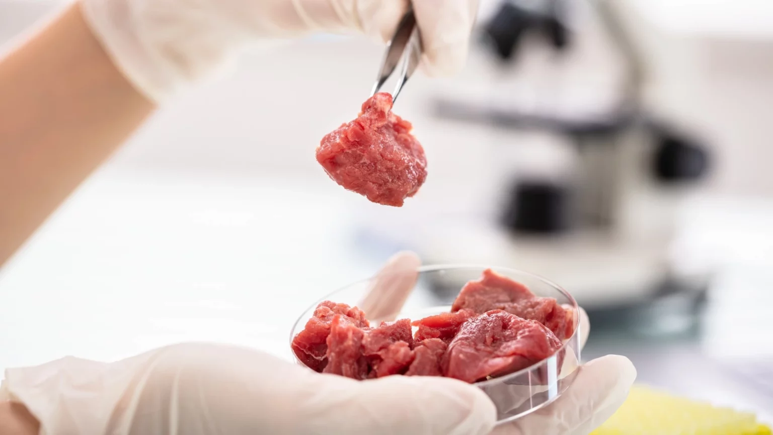 italy-bans-production-and-sale-of-lab-grown-meat-citing-health-concerns