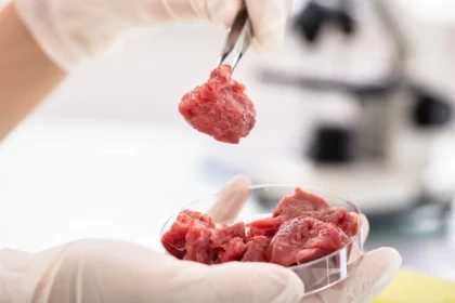 italy-bans-production-and-sale-of-lab-grown-meat-citing-health-concerns