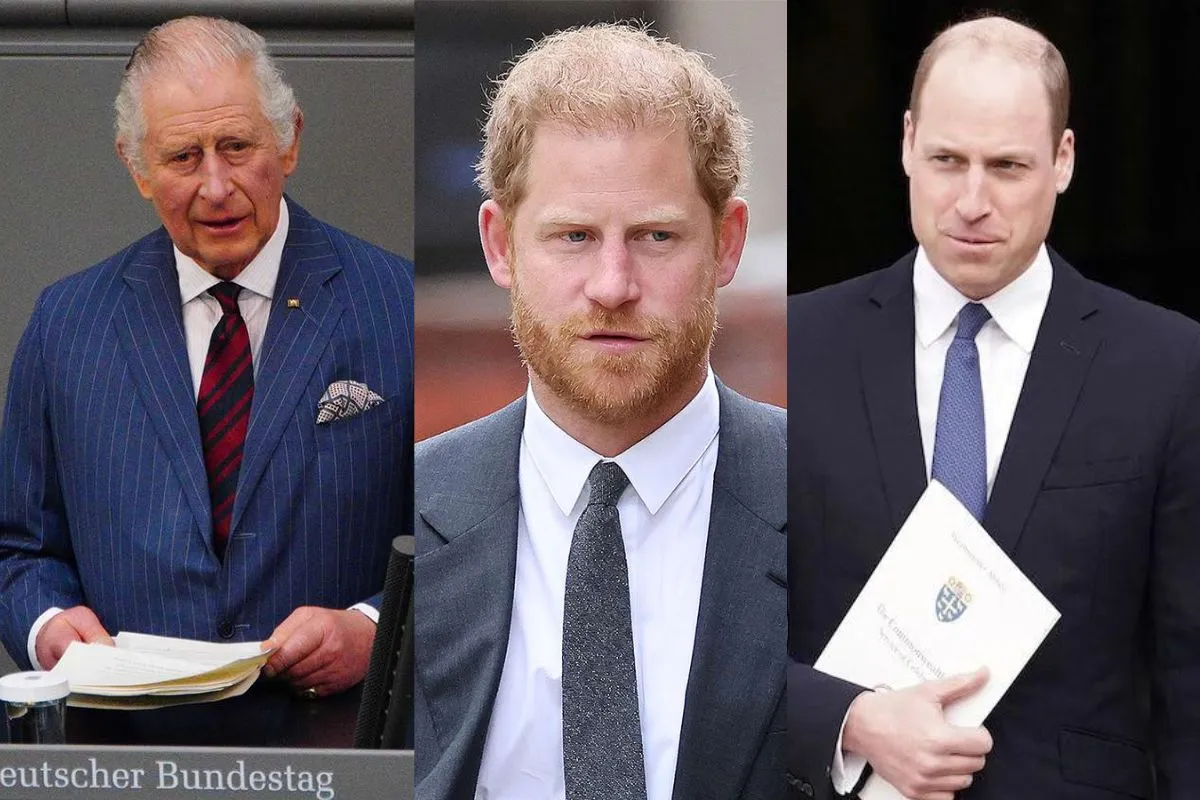 prince-harry-will-be-viewed-as-a-betrayer-by-king-charles-and-prince-william-on-his-return