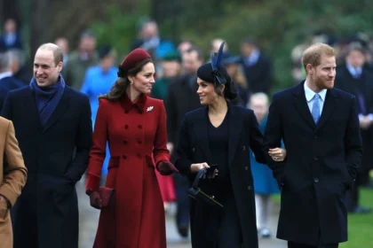 prince-harry-and-meghans-recent-visit-makes-prince-william-and-kate-middleton-happy