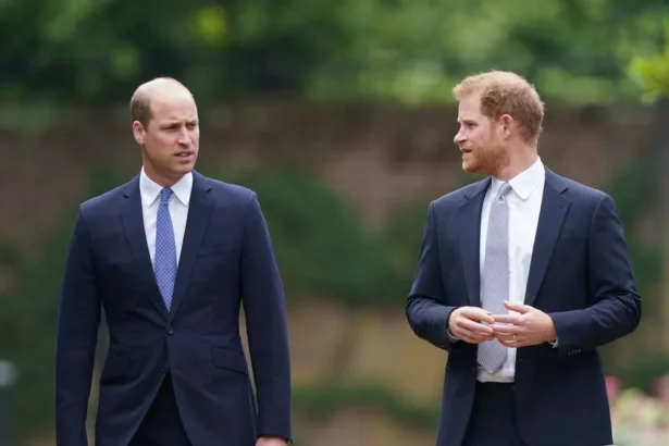 prince-harry-wants-to-reconcile-with-prince-william-but-apology-comes-from-william-and-kate-first