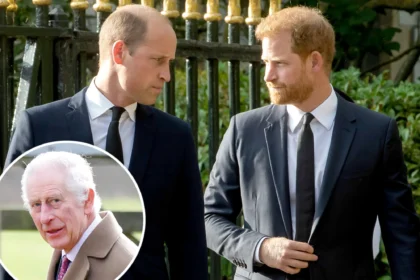 prince-harry-reach-out-to-prince-william-ahead-of-his-visit-to-uk-to-meet-king-charles