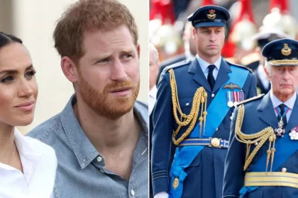 prince-harry-has-no-chance-to-return-to-royals-following-king-charles-cold-blooded-decision