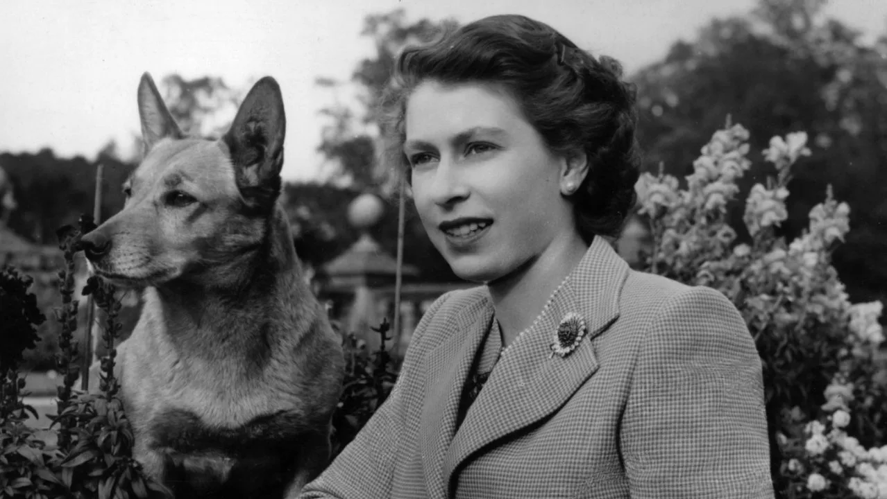 take-a-close-look-at-queen-elizabeths-statue-with-a-corgi-at-her-feet