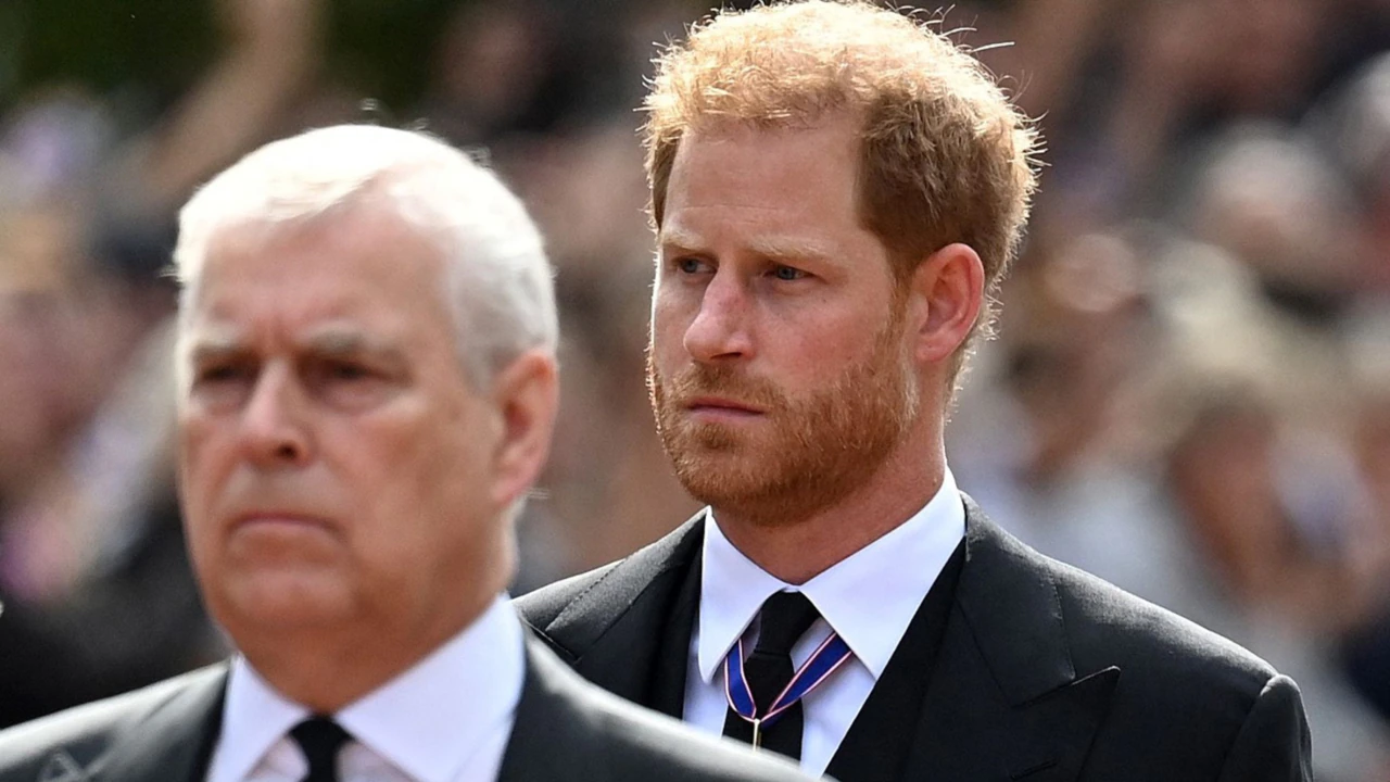 prince-harry-questions-prince-andrews-royal-security