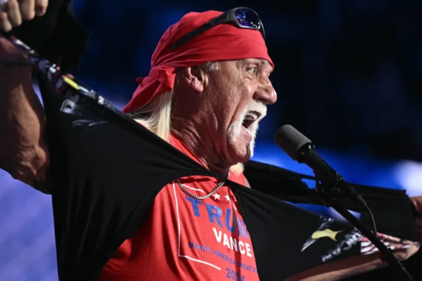 hulk-hogan-hailed-donald-trump-as-his-hero-at-the-rnc