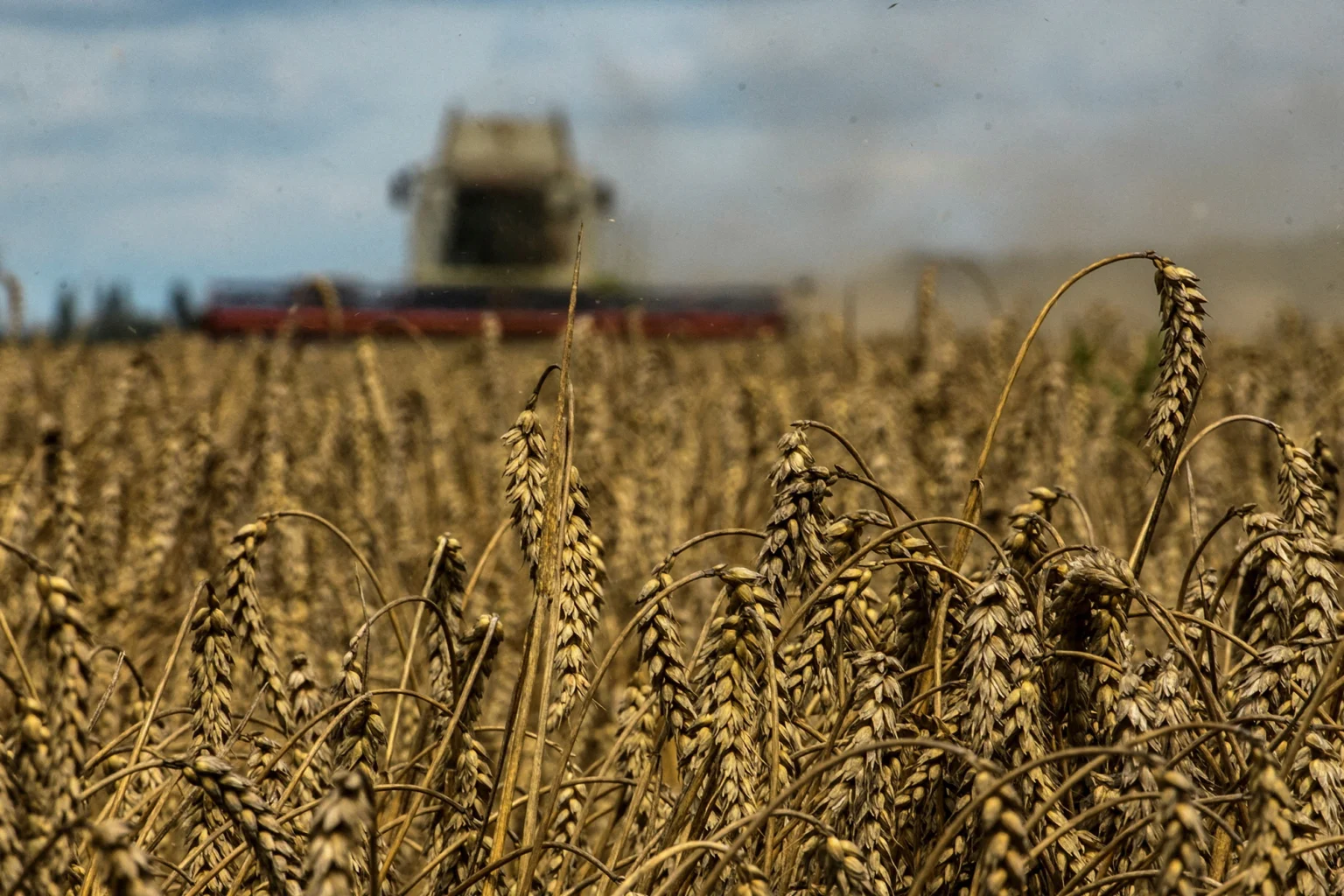 record-heatwave-in-ukraine-may-cut-2024-corn-harvest-by-6-million-tons-producers-union-say